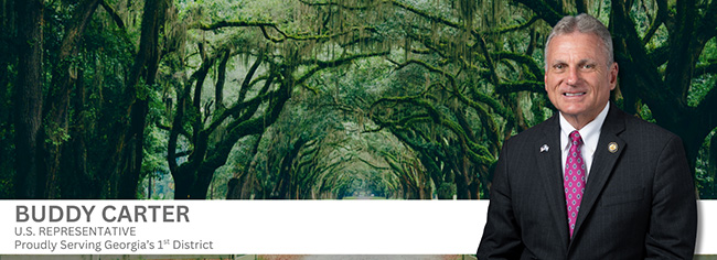 Representative Buddy Carter