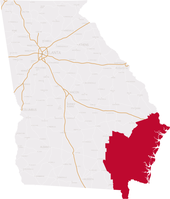 Georgia's 1st District